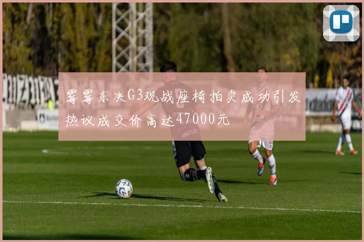 霉霉东决G3观战座椅拍卖成功引发热议成交价高达47000元